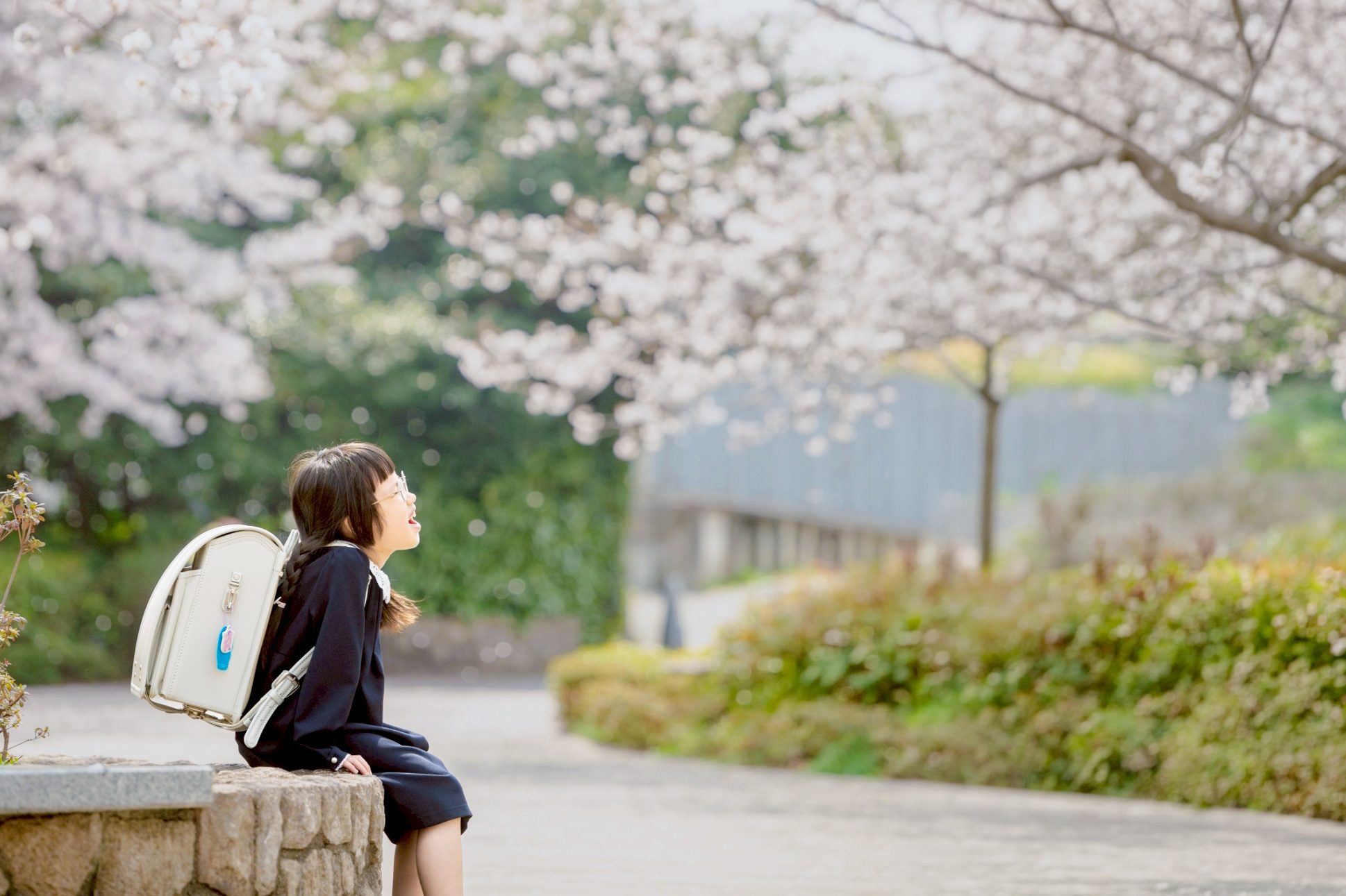 入学・入園・卒業・卒園