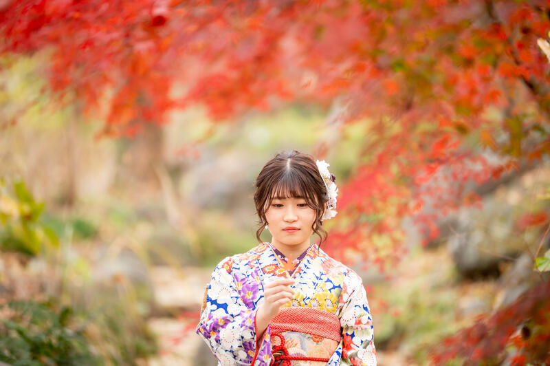 紅葉と振袖